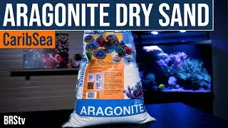 Why Choose Dry Sand for Your Saltwater Aquarium Sand Bed? CaribSea's Special Grade Dry Sand