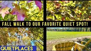 Scenic Fall Walk to our Favorite Spot at Crow&rsquo;s Nest Preserve Pennsylvania!