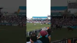 festival jesus maria 2023