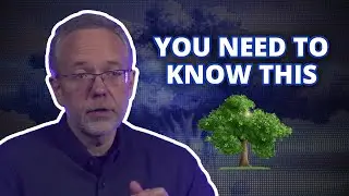 Are there Sacred Trees in the Bible?