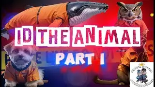 ID the Animals! Part 1 - PreSchool/Toddler learning fun about animals and their awesome sounds.