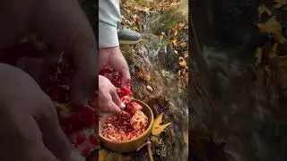 Chopping Fresh Vegetables in Nature 🥕🌿🔪 | Peaceful Outdoor Cooking Sounds #nature #fire #cooking