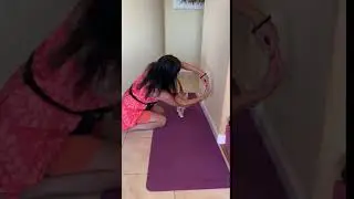 10.  Jump Through Arm Hoop - Novice Cat Trick