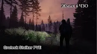 Жмыхом пришли в ЧЗО (Grotesk Stalker PVE)