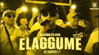 SESSION EN VIVO FAUNA - ELAGGUME