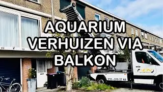 Zo verhuis je een zeeaquarium via je balkon