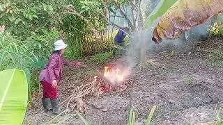 KAMI DUAI NENEK NATHANIEL NUNU DAUN KERING BA KAWASAN POKOK RAMBUTAN.