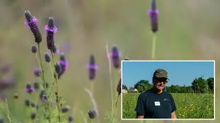 Out on the Prairie with Larry: Exploring a Remnant Prairie