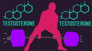 Поднятие тяжестей НЕ повышает уровень тестостерона... или повышает?