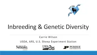 Interpreting NSIP Information Part II: Inbreeding & Genetic Diversity