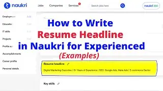 How to Write Resume Headline in Naukri for Experienced | Examples | Best Resume Headlines