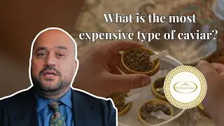 What is the most expensive type of caviar? Learn about the business of caviar with Hossein Akef