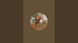 Rajesh Kushwaha is live