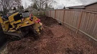 Stump grinding coast redwood #timelapse #stumpgrinding #treework #fyp #reels