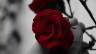 #FreeTypeBeats2020[Free]  Romantic Type Beat