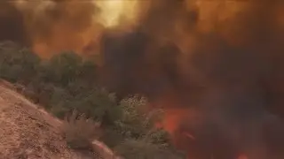 KSEE 24 News SQF Complex Fire