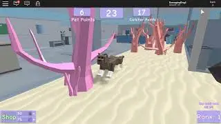 Pet Escape on Roblox