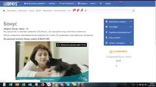 #LeoPays НОВИНКА = Бонус каждые 10 минут в криптовалюте