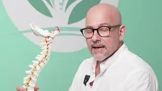 All the way from Germany, Dr Peter Hansel educates us on the benefits of the Vertonex iDU!