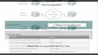 Introduction to WANs