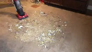 ASMR Vacuum ~ Crunchy Dirt Devil pick Up ~ Vacuum Cleaner Sounds