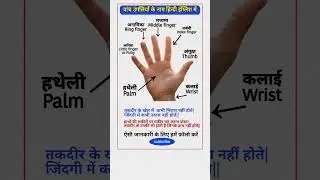 All Finger name  full details | All Finger Review in hindi and english| #finger #bodyparts #2025