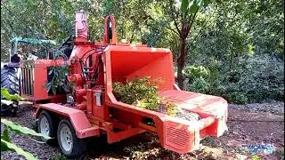 TOMCAT M 375 AFE IC Diesel Woodchipper with In-Feed Conveyor chipping Macadamia Nut Trees in orchard