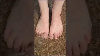 Relaxing Barefooted ✨️🧘&zwj;♀️ By The Sea 😍 #barefoot #summer #beach #wind #toes #asmr