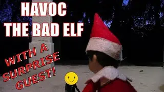 HAVOC (The Bad Elf) has company!