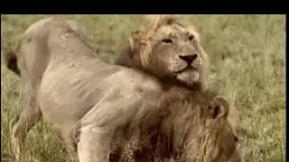 Nkuhuma Males & Mohawk Avoca - 18 Feb 2025