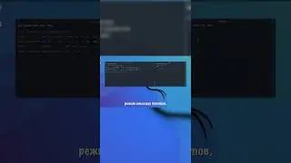 Как перехватить пароль от Wi-Fi #hacker #hack #hacks #fyp #shorts #linux #wifi #computerscience