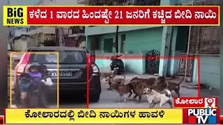 Stray Dogs Menace In Kolar | Public TV