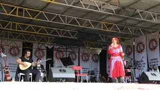 Aygul Erce - Kara Tren Gelmez Mola
