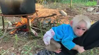 Grandma boils water bathing baby monkeys in the garden