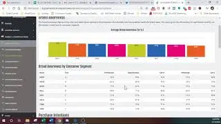 Markstrat:  Consumer Survey and Panel