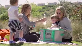 CleverMade 30 Liter Insulated SnapBasket Cooler on QVC