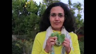 Science of Ancient Health Practices Is THE Guide to Modern World