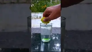 🔥Baking soda v/s lemon+chilli powder😱shocking science experiment #Shorts
