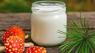 Fly Agaric Balm Build | Nature&rsquo;s Remedy for Muscles & Nerves