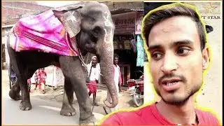 नाग पंचमी Special Vlog || Amazing Village festival  || VtStar