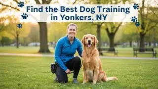 Find the Best Dog Training in Yonkers New York