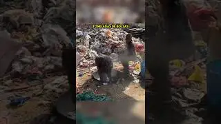 En la India NO desperdician NADA😲