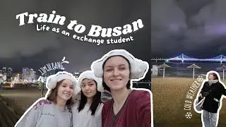 [SUB] Life as an exchange student! Ep. 3: Busan between hot and cold