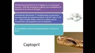 Inhibidores de la enzima convertidora de angiotensina IECA, 2021 03 15,  Nefrología  Dra Perla Perez