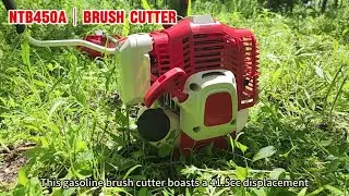 42cc Gas Brush Cutter NTB450A Weed Eater, Professional Choice for Trimming Wild! - CRAFTOP