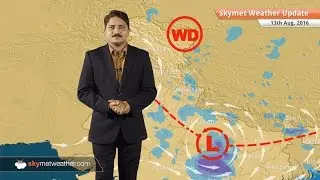 Weather Forecast for Aug 13: Good rains in UP, MP, Bihar, Uttarakhand light rain in Delhi, Haryana