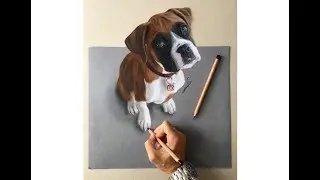 How to draw a relistic 3D boxer dog with colored pencils | Liran Vardiel