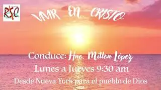 CUAL ES LA DIFERENCIA ENTRE AMAR Y QUERER. MIERCOLES 4 DE FEBRERO DE 2026