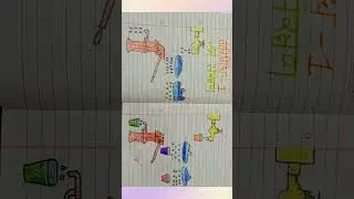 Water Conservation Activity #water#drawing#art#colourful#easy#shortfeed#yt#beautiful#hindiwriting#