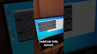 YadaCoin Node Fully Synced 😎